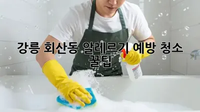 강릉 회산동 알레르기 예방 청소 꿀팁 🏡✨