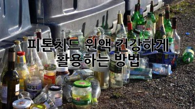피톤치드 원액, 건강하게 활용하는 방법